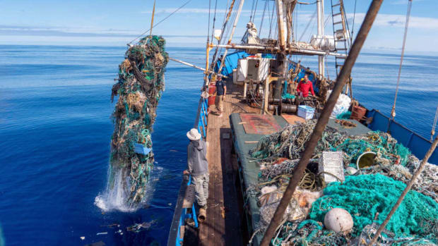 pacific garbage patch