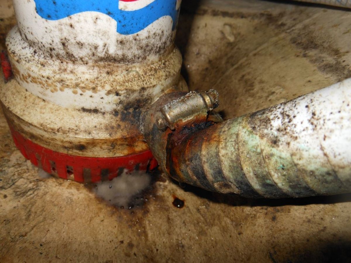 Inspect bilge pumps to ensure they are securely mounted, and hose and hose clamps are free of deterioration and corrosion.