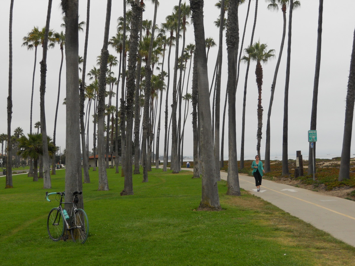 With an abundance of bike trails and town shuttles, getting around is a snap.