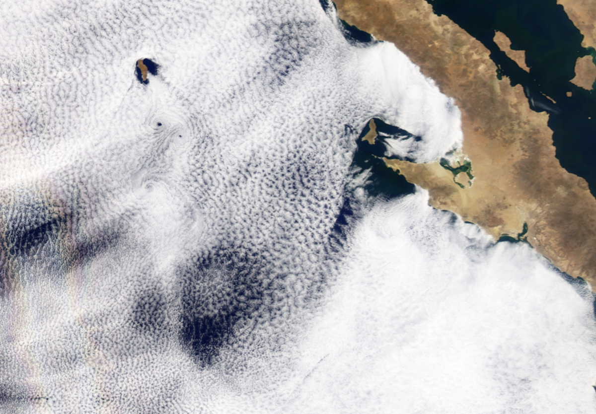 A rare meterological phenonment called a “glory cloud” approaches the Baja California peninsula. A glory is caused by the scattering of sunlight by a cloud made of water droplets that are all roughly the same size. Other interesting features in the scene are the vortices, known as Von Karman vortices, which appear downwind of islands that perturb the flow of air like a boulder creates an eddy downstream in a river.