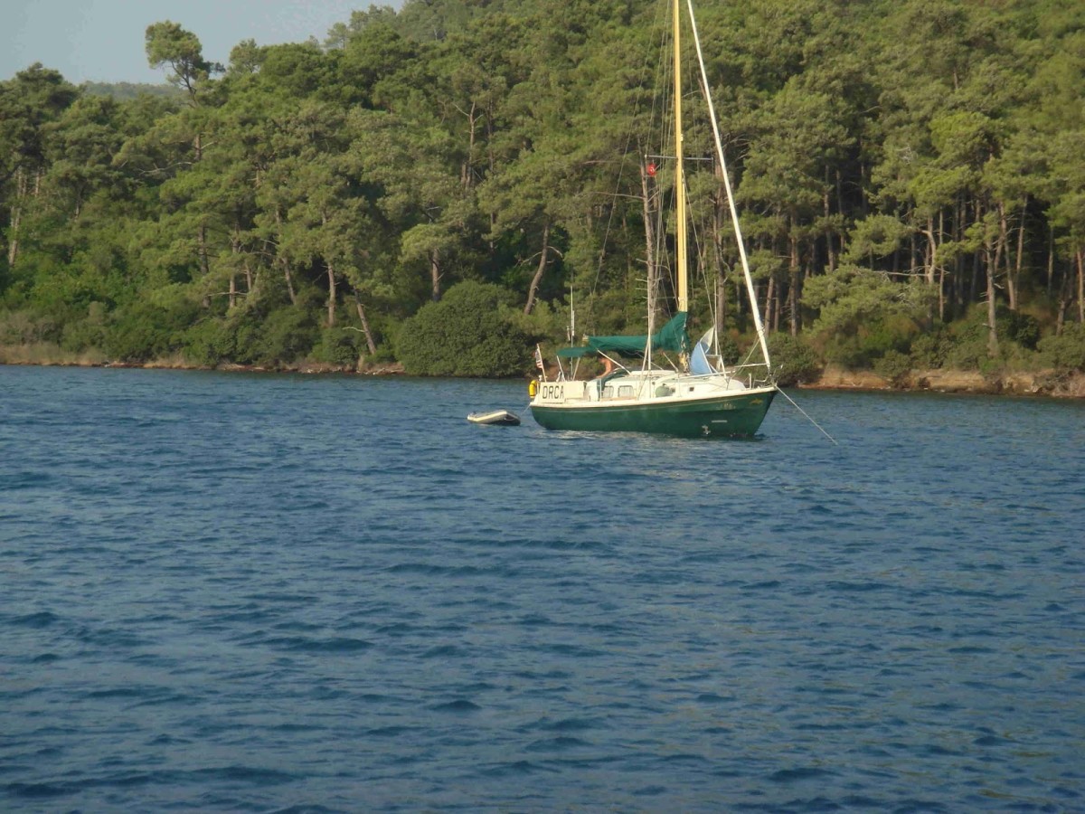 Orca anchored in Amazon Koyu, awaiting Leeze's arrival.