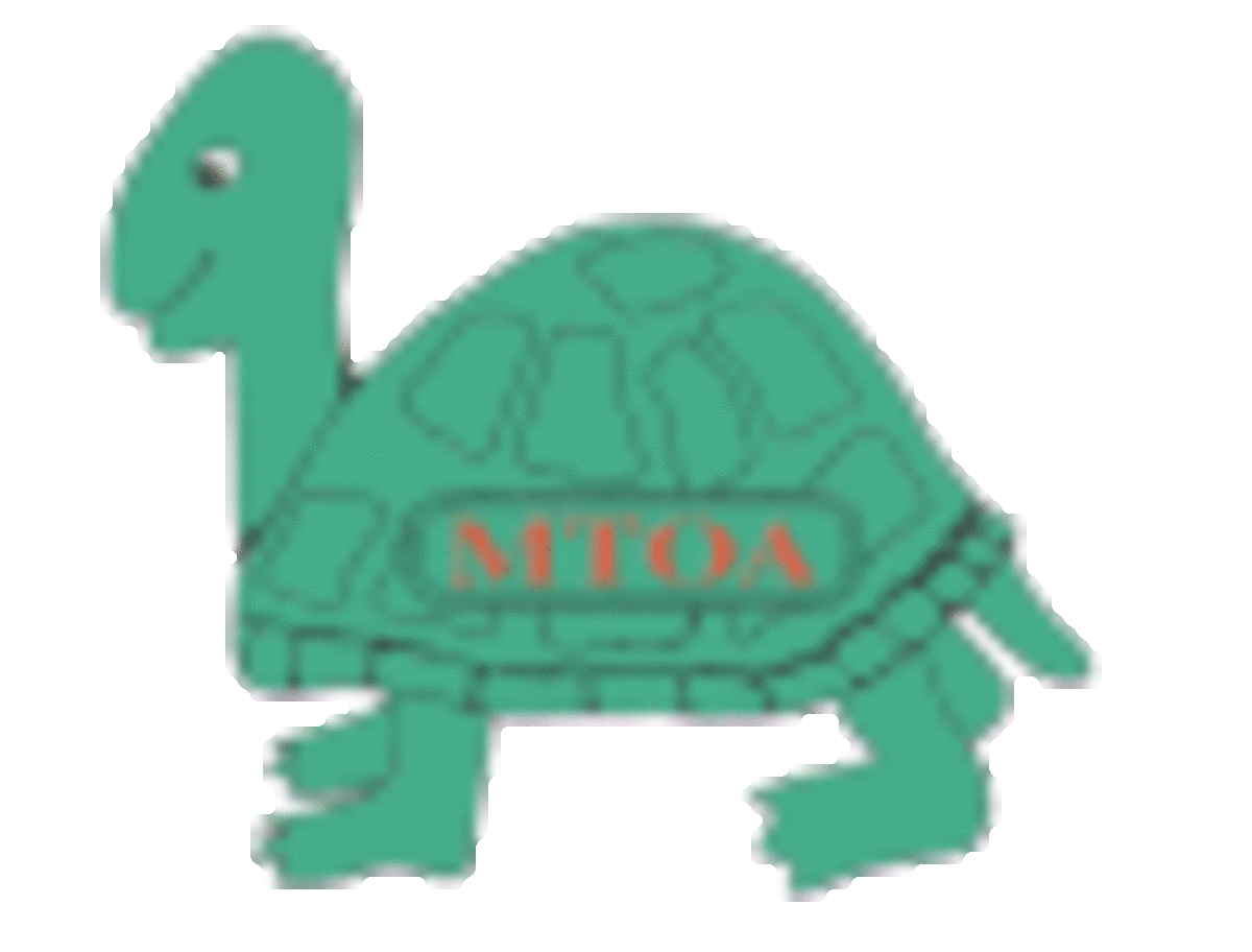 mtoa_turtle