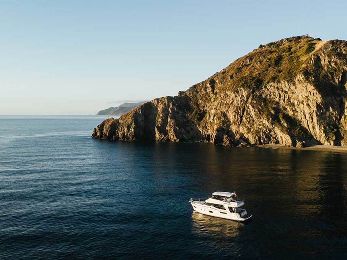 Beneteau calls the Swift Trawler 47 the entertainer’s Swift Trawler, thanks to one-level living that connects the indoors and outdoors on the main deck. And the boat is built to take a beating, including from any overly curious marine life. 