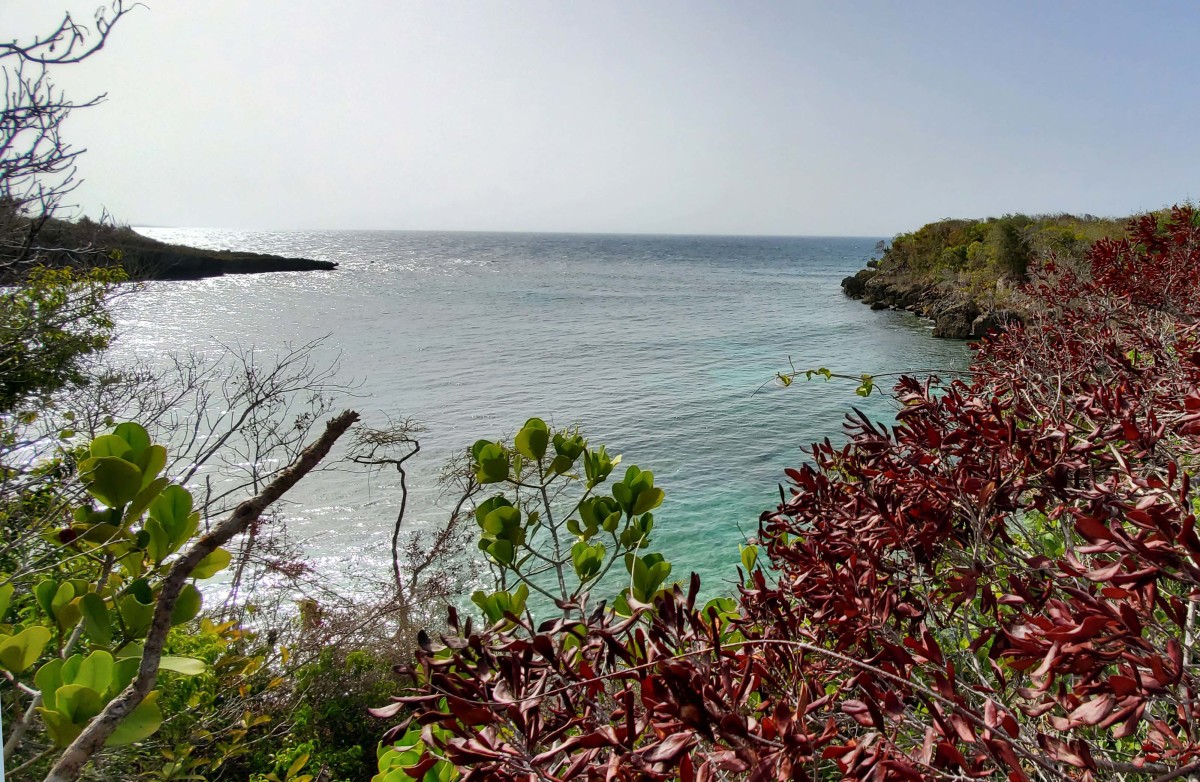 This little cove at Cambiaso in the Dominican Republic was easy to fence off. Unfortunately for the dolpins' jailers, it has no protection from northerly conditions. 