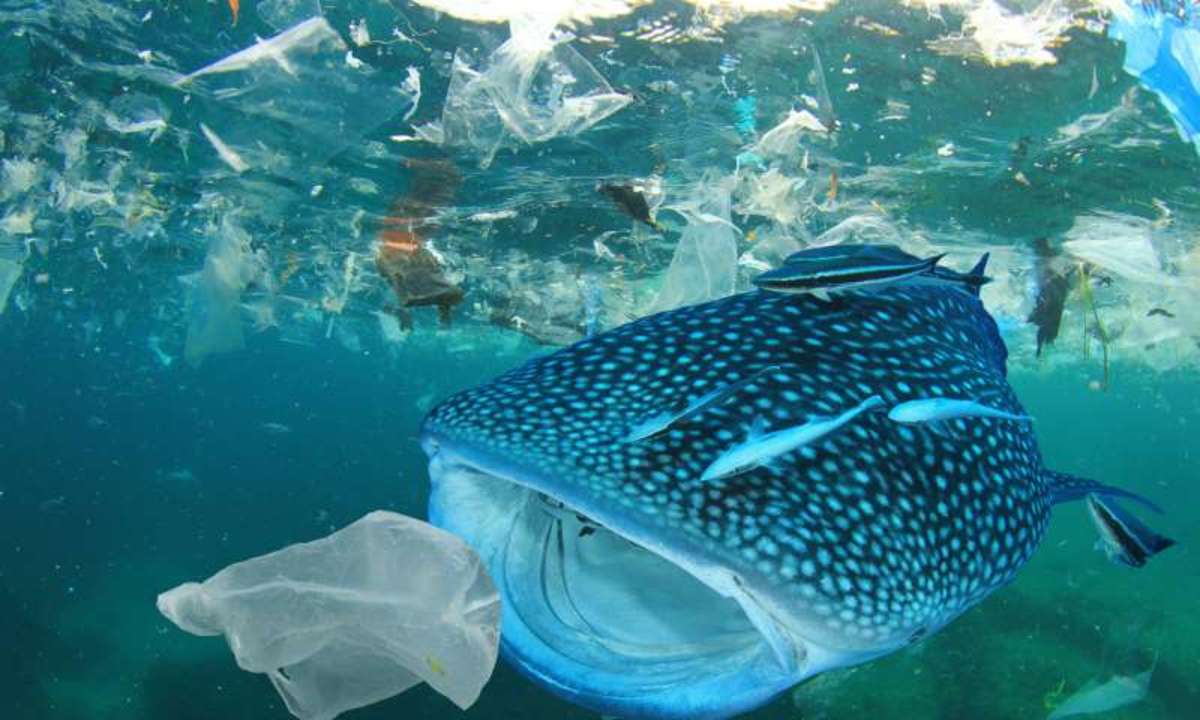 Ocean debris is a global environmental crisis.
