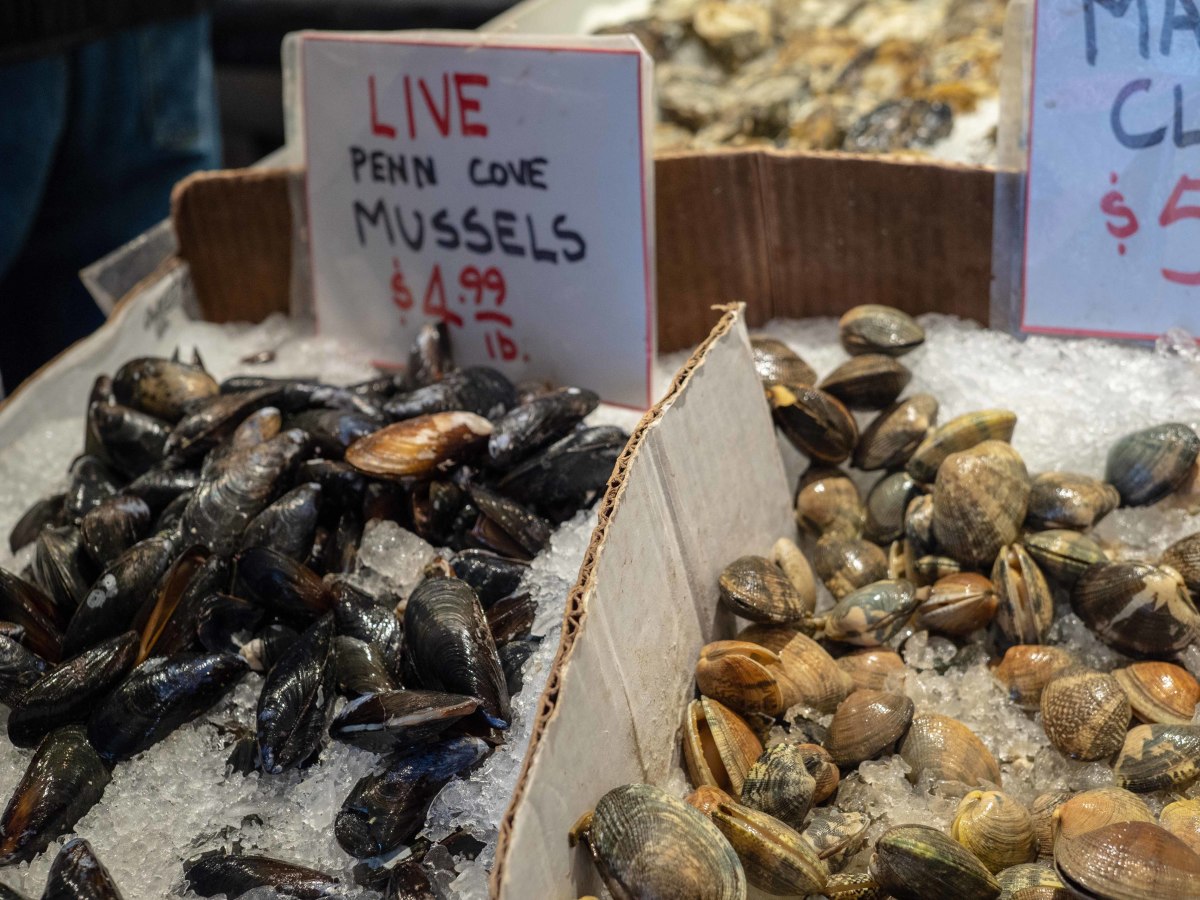 When in the San Juans, it's hard to do better than fresh Penn Cove mussels, locally procured off Whidbey Island.