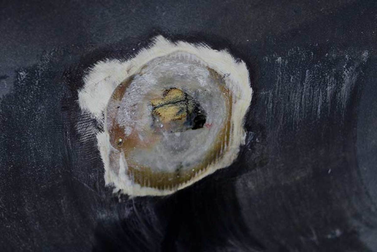 This closed-cell foam has been exposed to moisture, as indicated by the black staining. Despite the discoloration, the foam will not decompose or significantly lose strength. The moisture, however, has collected in an air pocket between the core and the fiberglass. If exposed to a freeze-thaw cycle, the size of the air pocket will increase over time. 