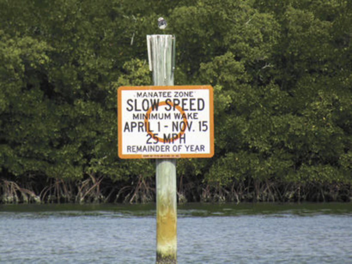 Many Florida waterways have no-wake zones for manatees.