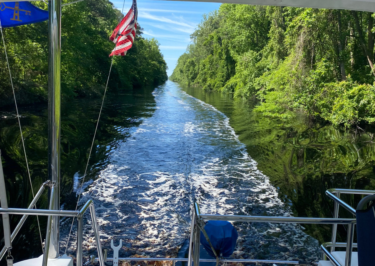 The Dismal Swamp Canal along the ICW is a rare beauty, though not without its challenges, including depth, debris and, for catamarans, width.